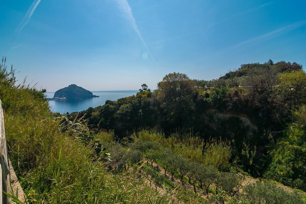 Hotel Villa Fumerie Forio di Ischia Buitenkant foto