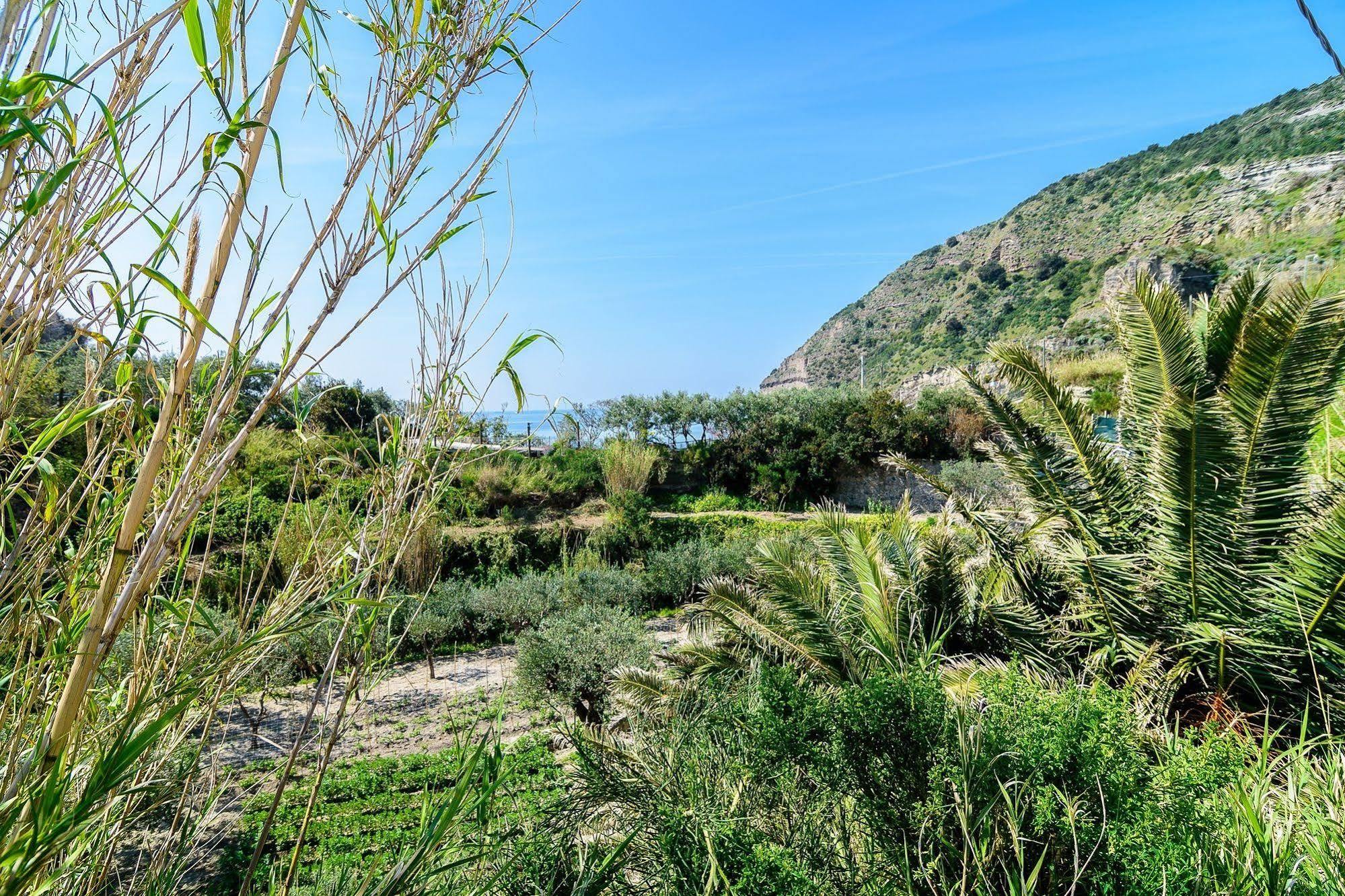 Hotel Villa Fumerie Forio di Ischia Buitenkant foto